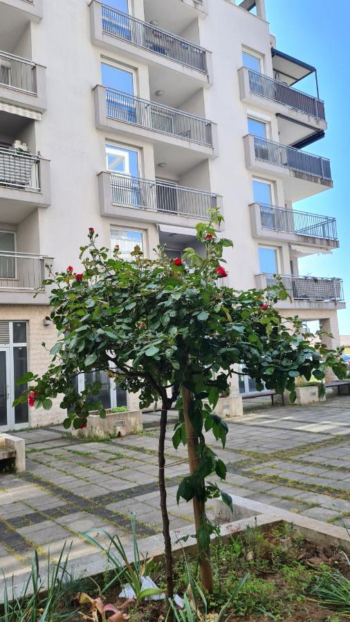 Apartment Mia Milija Rijeka Buitenkant foto